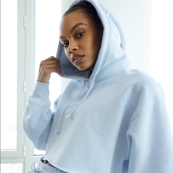 WORN ONCE Tna | Boyfriend Crop Hoodie GD Shd Mauve - Picture 8 of 16